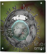 Influenza Virus, Glassy Look Acrylic Print