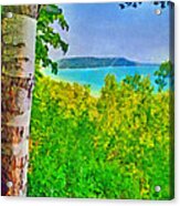 Inspiration Point Acrylic Print