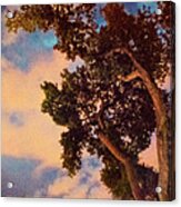 Inspired By Maxfield Parrish Acrylic Print
