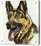 Iphone-case-dog-germanshep. Acrylic Print