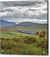 Isle Of Skye Acrylic Print