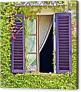 Ivy Covered Window Of Tuscany Acrylic Print