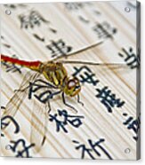 Japanese Dragonfly Acrylic Print