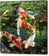 Japanese Koi Fish Pond Acrylic Print