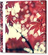 Japanese Maple Collage Acrylic Print