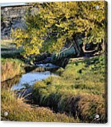 Jordan Creek Autumn Acrylic Print