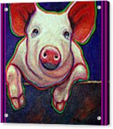 Jose The Crying Pig  Sold Acrylic Print