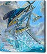 Jumping White Marlin And Flying Fish Acrylic Print