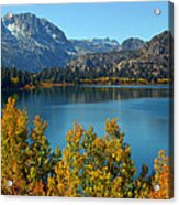 June Lake Blues And Golds Acrylic Print