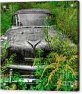 Jungle Fever Vintage Chevy Acrylic Print