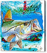 Jupiter Snook Acrylic Print