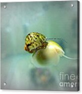 Just Hanging Out On My Buddy Acrylic Print