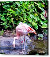 Kaanapali 9 Acrylic Print