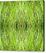 Kaleidoscope Image Of Grass Acrylic Print