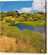 Kalogria Forest And Lagoon Acrylic Print
