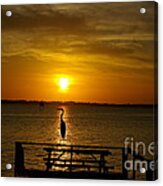 King Of The Pier Acrylic Print