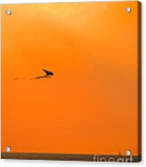 Kite-flying At Sunset Acrylic Print