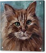 Kitty - Custom Pet Portrait Acrylic Print