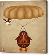 Kiwi Bird Kev Parachuting Acrylic Print