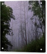 Knysna Moon Acrylic Print