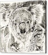 Koala Garage Girl Acrylic Print