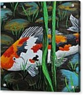 Koi Fish Acrylic Print