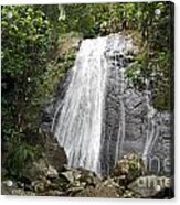 La Coca Falls El Yunque National Rainforest Puerto Rico Print Acrylic Print