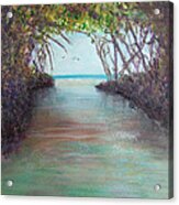 La Parguera Acrylic Print