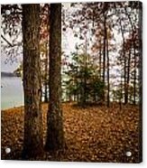 Lake Hartwell Autumn Acrylic Print