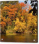 Lake In Central Park In Fall Acrylic Print