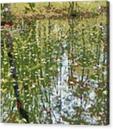 Lake Luster Acrylic Print