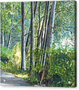 Lake Padden Series - Kathleen Keller Memorial Bench Acrylic Print