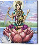 Lakshmi Goddess Of Fortune Acrylic Print