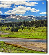 Lamar Valley Acrylic Print