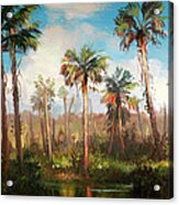Land Of The Seminole Acrylic Print