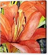 Large Orange Lily Acrylic Print