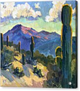 Late Afternoon Tucson Acrylic Print