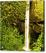 Latourell Falls, Columbia River Gorge Acrylic Print