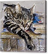 Lazy Cat Portrait - Drawing Acrylic Print