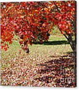 Leaves Are Falling Acrylic Print