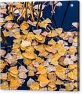 Leaves On The Pond Acrylic Print