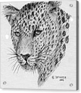 Leopard Acrylic Print