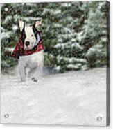 Snow Day Acrylic Print