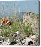 Lichen Covered Rocks At Missouri Headwaters State Park Montana Acrylic Print