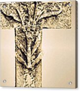 Lichen Cross Bronze Acrylic Print