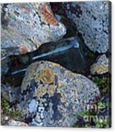 Lichen Rocks And Bottle Acrylic Print