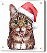 Cat Santa Christmas Animal Acrylic Print