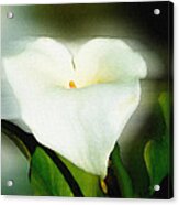 Lily Faux Watercolor Acrylic Print