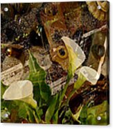 Lily Of The Scrap Pile Acrylic Print