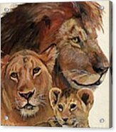 Lion Family Portrait Acrylic Print